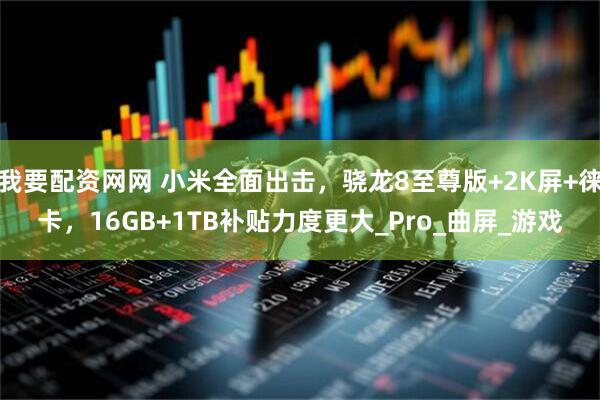 我要配资网网 小米全面出击，骁龙8至尊版+2K屏+徕卡，16GB+1TB补贴力度更大_Pro_曲屏_游戏